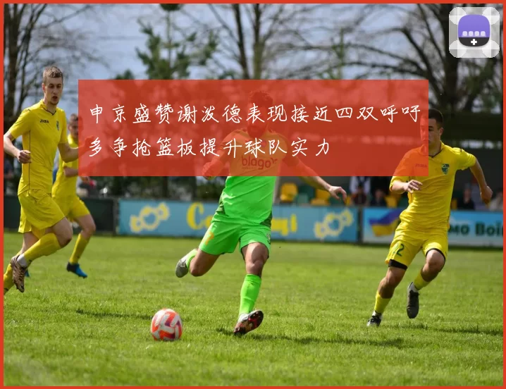 申京盛赞谢泼德表现接近四双呼吁多争抢篮板提升球队实力